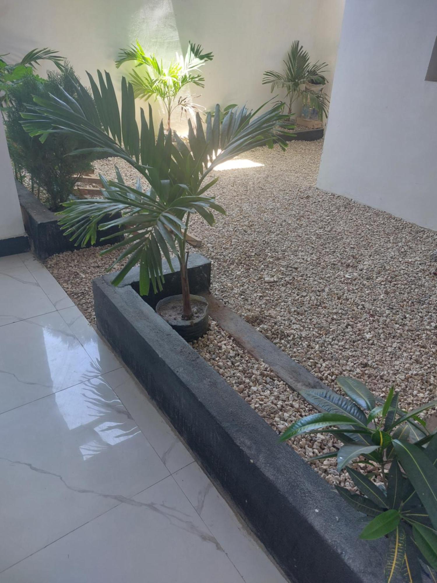 Zansi Beach House Nungwi Ngoại thất bức ảnh